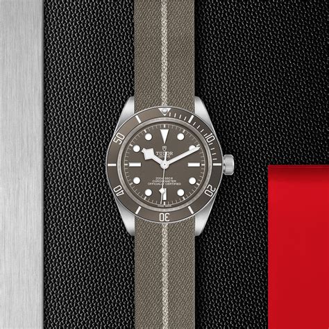 tudor m79010sg-0002|m79010sg 0002.